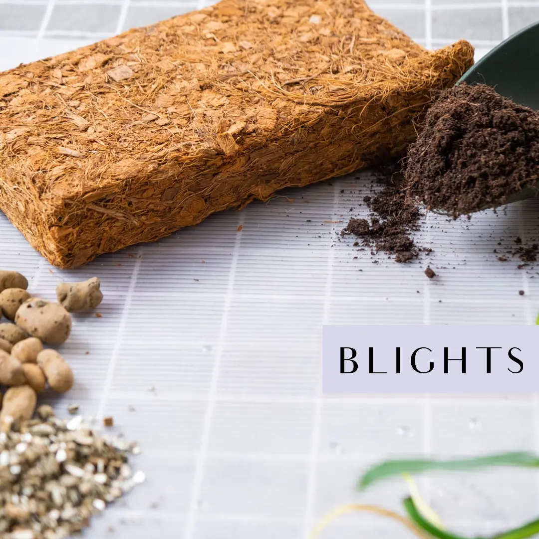 5kg coco coir chip bends -a2