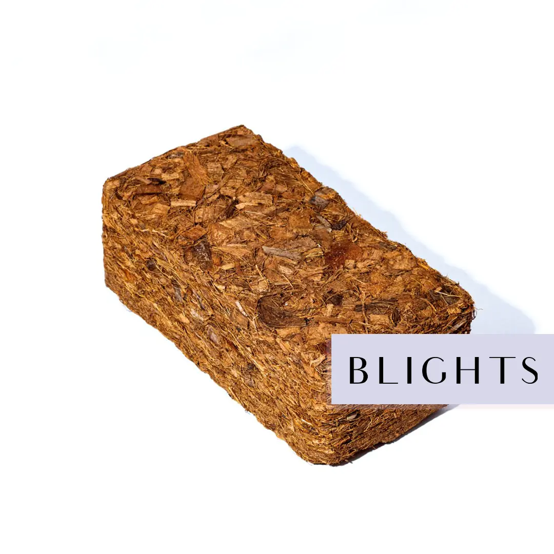 650g 1lb coco peat block -a2