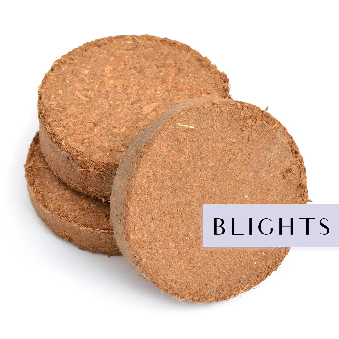 COCO peat Discs coins -a2