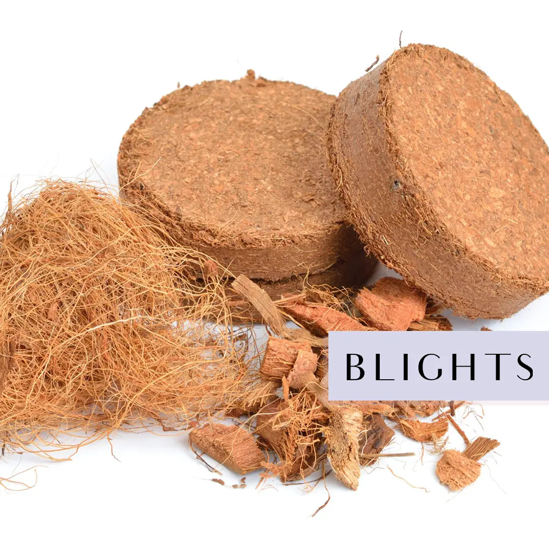 COCO peat Discs coins -a3