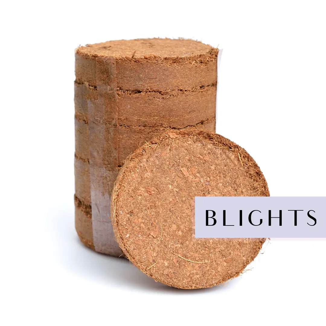 COCO peat Discs coins -a4