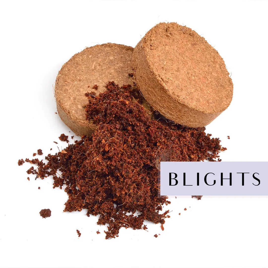 COCO peat Discs coins -a5